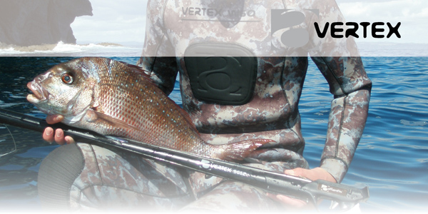 WEB page vertex.jpg